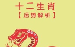九九年兔生肖宜选纹身图案九五猪山头火命一生运势解析