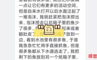 梦见很多死鱼 女人梦见很多死鱼有什么预兆