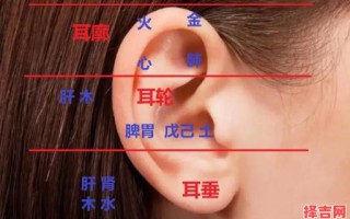 女人耳朵长痣面相图解 女人耳朵十大富贵痣