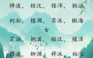 名字带波的含义 带波字女孩名字的名字