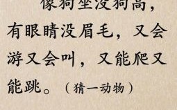 只说不行猜一动物