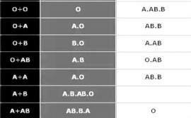 不同血型男女婚配概率与婚配关系对应表