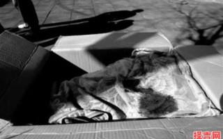 梦见一路都遇到尸块 梦见尸块代表什么