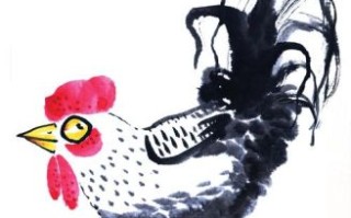 秀外慧中代表什么生肖动物