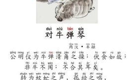 对琴示牛正解一生肖