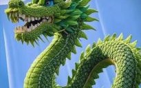 绿苔是什么生肖？绿草生肖是什么动物