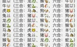 子孙代代传是什么生肖？一代传一代12生肖是什么