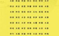 五行属土木的女孩名字有哪些 五行属土木的女孩名字