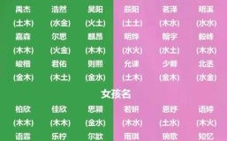 五行缺木的女孩取什么名字好听 五行缺木起什么名字女孩