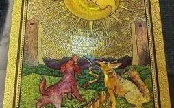 塔罗牌月运势如何解读，塔罗牌月亮逆位事业分析