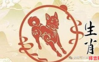 属狗能否纹青龙 属狗是否忌讳龙字