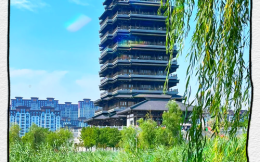 山东淄博为何一夜走红