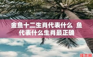 菓是什么生肖？鱼代表什么动物打一生肖