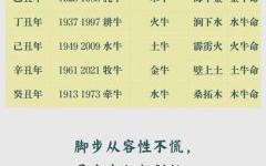 1973年属牛男性性格优缺点解析及其感情专一度探讨