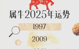 金牛座今日运势2025年8月12日