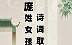 庞姓女孩寓意好名字 庞姓女孩名字2026属兔
