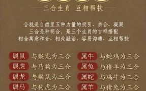 夫人合八数是什么生肖？夫人合八数代表什么数