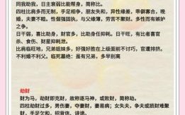 八字常见十神组合解析与最强十神排名