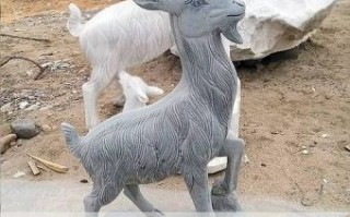 欲钱买跪乳的动物是什么生肖？跪乳的动物最佳一生肖