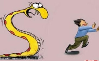 女人梦见被蛇追赶奔跑