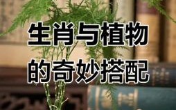 吃绿色植物的生肖是什么？植物也吃东西吗打一生肖