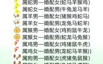 龙男和兔女的生肖合适吗兔龙婚配是否都叫断头婚