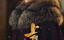 上阳赋主演名单