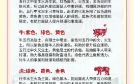 双五过五是什么生肖？双五过五的正确答案