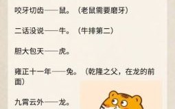 后继有人打一生肖