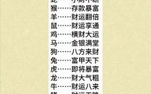 排忧解难指哪个生肖 排忧解难是哪种生肖动物最佳