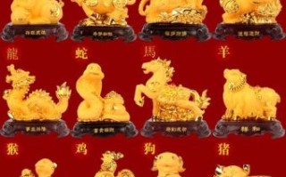 虎猪狗笑龙是什么生肖？一动不动最正确生肖