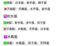 11月20日星座查询与星座最佳配对指南