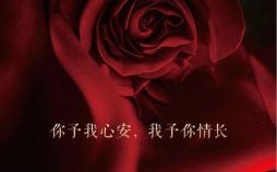 2024年情人节是几号