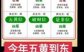 2025年5月开光吉日一览 最佳开光日期查询