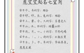 虎年双胞胎男孩取名大全 虎年女孩子取名大全