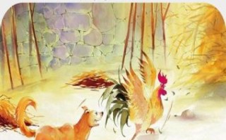 生肖里鸡是什么生肖？鸡是十二生肖第几个