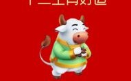 属牛寻找2025年纳畜最佳吉日与适宜衣着颜色