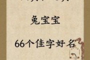 兔年出生女宝宝取名最佳的字 2026年属兔女孩名字洋气的