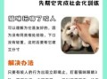 梦到猫咬人周公解梦 梦到猫咬住不松周公解梦