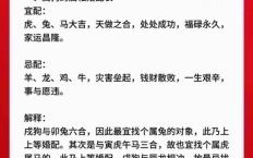 属狗的最佳配偶属相是什么