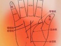 手相算命图解工作线