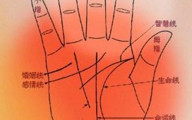 手相算命图解工作线
