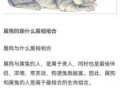 属牛与属狗相刑如何化解属兔和属鼠是否相配