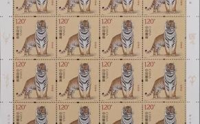 2022是否是壬寅虎年 2022属于什么虎年