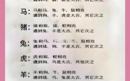 龙和什么生肖相冲相合，属龙与哪些属相结合相克