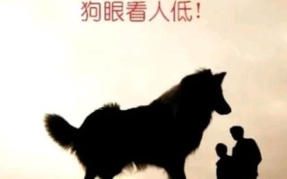 出头露面猜一动物 抛头露面指一生肖