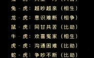 女虎最佳婚配属相解析，属虎女和哪些生肖最合得来