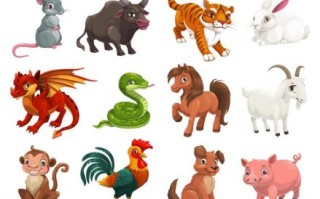 东张西望是哪种动物 十二生肖东张西望是哪个动物