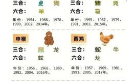 明明白白是什么生肖？明明白白三大生肖