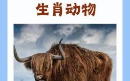 还凭劳苦创辉煌是什么生肖？还凭劳苦创辉煌指什么动物